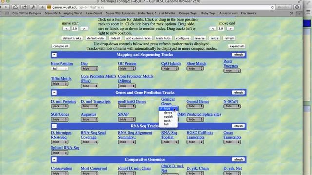 Setting up GEP Genome Browser III смотреть онлайн