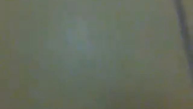 Сороконожка в Таиланде Centipede In Thailand