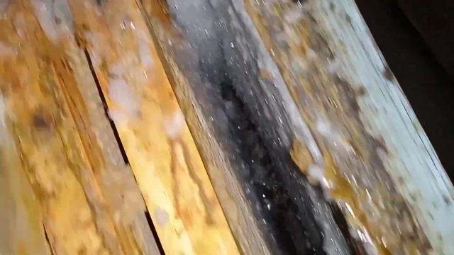 Спас пчёл от гибели! Вовремя убрал плёнку! Зимовка пчёл! смотреть онлайн