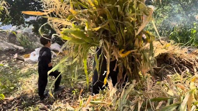 Belgesel Tadında Köy Hayatı