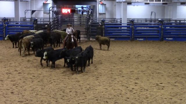 1-28-23 Am SW CHA - Belton, TX - Jessica Lott - FOXY SPOONFUL - 50K NP - 74 смотреть онлайн