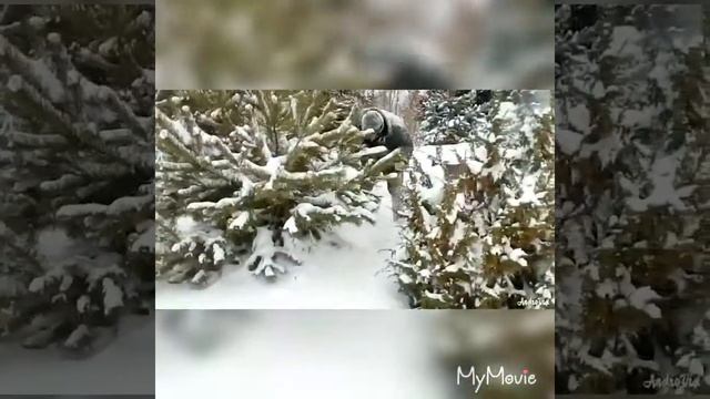 Нарезка смеха смотреть онлайн
