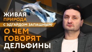 Эдгард Запашный. О чем говорят дельфины и бывает ли крабу страшно?