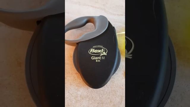 Laisse Flexi Giant M 8 mètres noire et jaune fluo Rubis berger australien 10 semaines Zoomalia смотреть онлайн