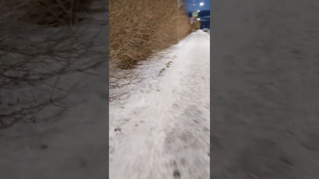 АрхангельскЗимний❄вечер Прогулка по городу #север #зима #арктика #стрим #прогулка #общение #город смотреть онлайн