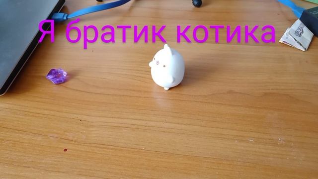 Котик
брат
кролик смотреть онлайн