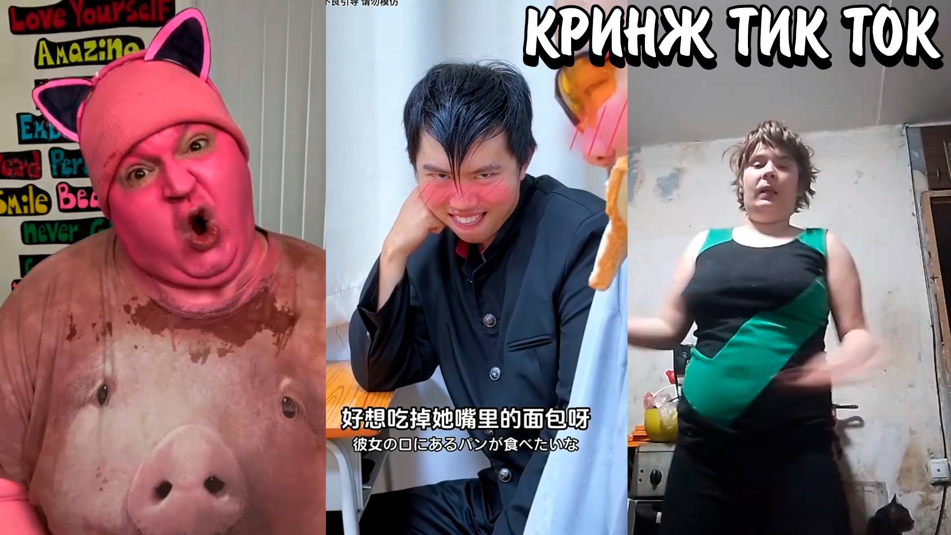 ВОРУЮТ ВЕЩИ РАДИ ТРЕНДА??? | В МИРЕ ЖИВОТНЫХ В ТИК ТОК | КРИНЖ ТИК ТОК