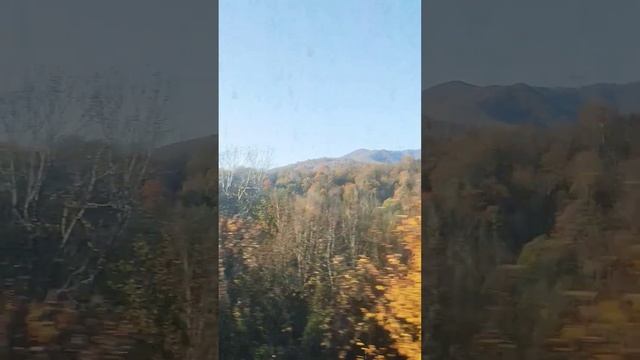 Солнечное утроКрасивые места Краснодарского края #путешествия #краснодарскийкрай #Россия #shorts смотреть онлайн