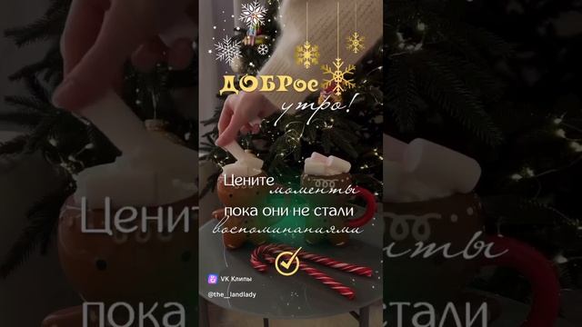 vkclips_20241230071625 смотреть онлайн