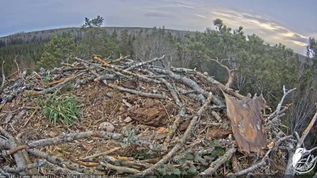 Запись 2020 04 28 17 06 05 969 смотреть онлайн