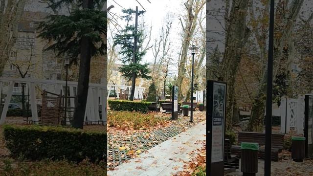 Сочи-АдлерДождливый☔день Сквер им А Бестужева #Сочи #Адлер #КраснодарскийКрай #сквер #Shorts смотреть онлайн