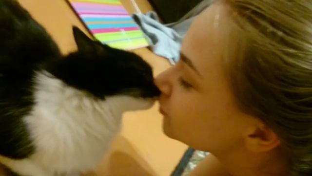 Кошка любит целоваться смотреть онлайн