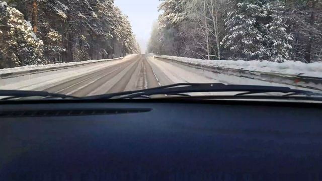 Поездка по снежной дороге в сосновом бору