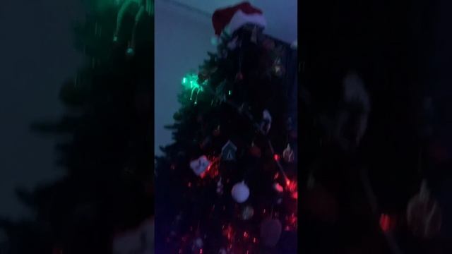 Алиса, с новым годом 🎄 #сновымгодом смотреть онлайн