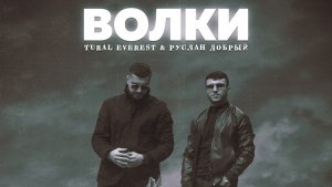 Волки