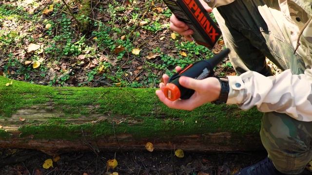 Sphinx 02 Magnetic - Обзор пинпоинтера Сфинкс 02