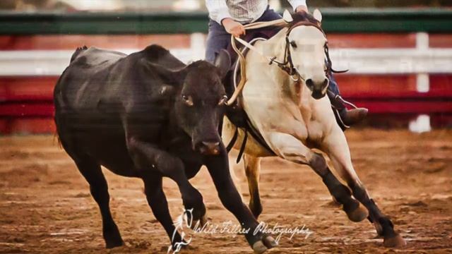 Lot 28 Landmark Classic Horse Sale Lil Badgers Rox смотреть онлайн