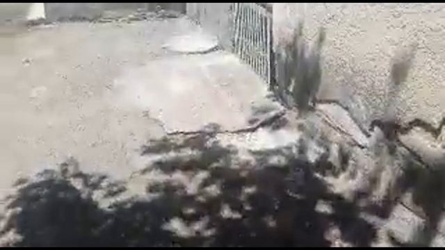 Мне купят хомяка смотреть онлайн