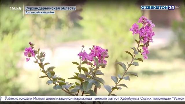 Реализация проектов в молодёжной инновационной производственной зоне в Алтынсайском районе смотреть онлайн