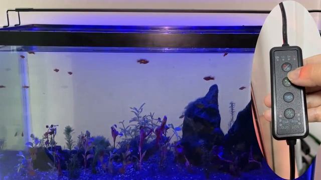 Our New Product --OYO WATER Smart Aquarium Light смотреть онлайн