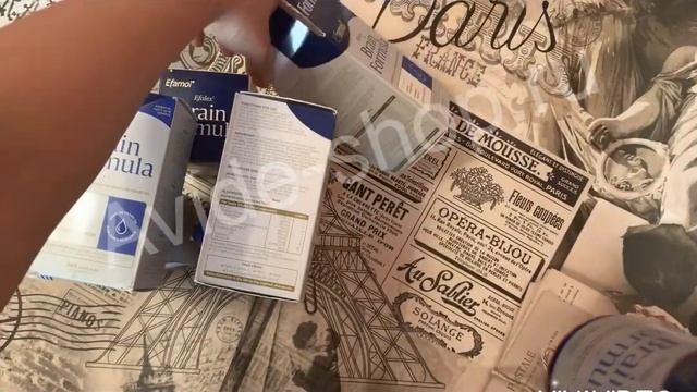EFAMOL BRAIN FORMULA (ЭФАМОЛ) 240 КАПСУЛ