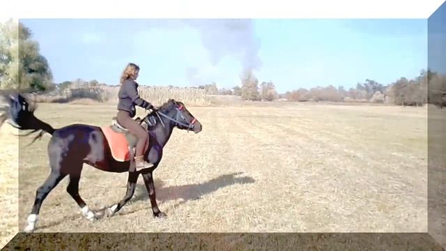 История о Вороном Солнце смотреть онлайн