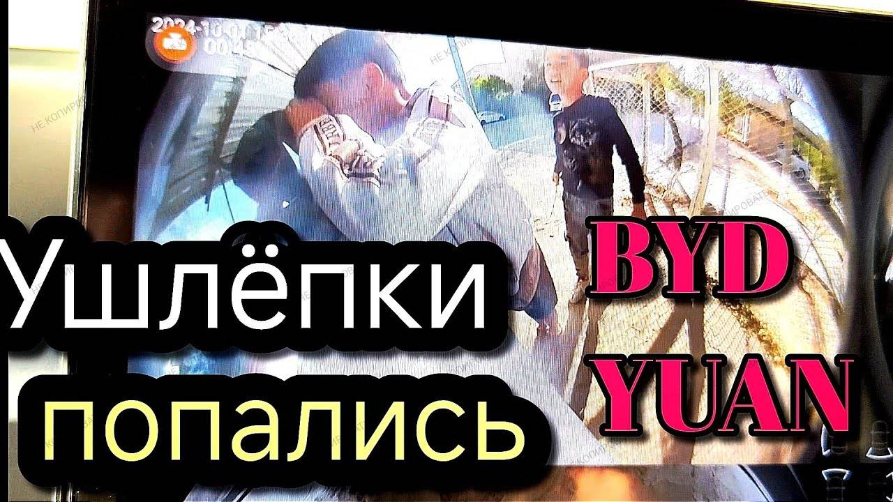 Ушлёпки попались BYD YUAN PLUS FLAGSHIP
