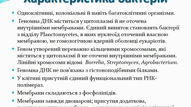 7 Систематика смотреть онлайн