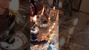 Чистка от опоев и окормов.