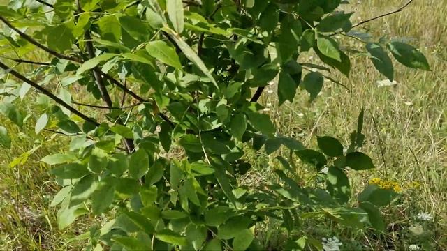 Лекторный театр