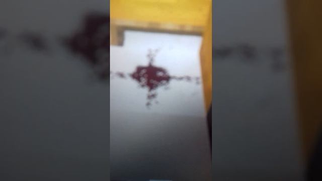 (Мяучки) дома котят съели их, дом белого серого кота обманул меня и чуть не съел (мега страшилка 2)