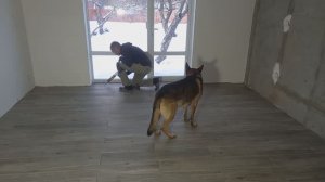 24. Одна плитка во всем доме, без порогов (дом для себя 20 год)