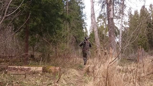 фотоохота / cнимаю на canon 600D / объектив canon 70-300 is usm смотреть онлайн