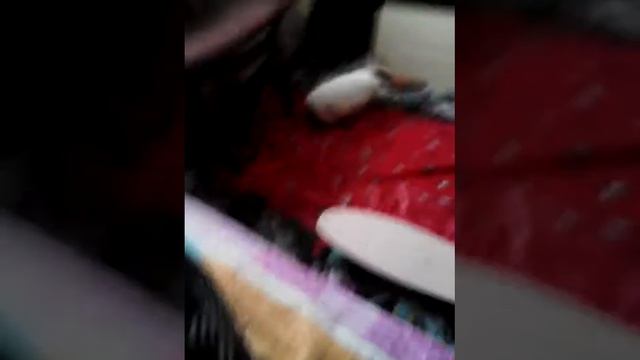 Неуловимый Зефир#2 смотреть онлайн