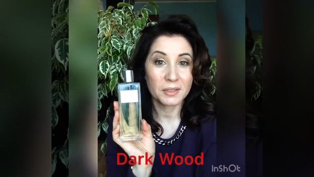 Dark Wood смотреть онлайн