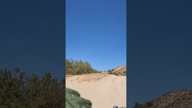 First Drive YXZ 1000R