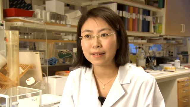 La Roche-Posay foundation portrait - Ning Xu Landén смотреть онлайн