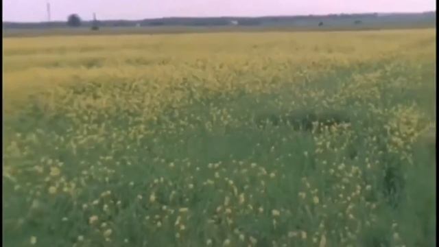 Владимир Пресняков Острова