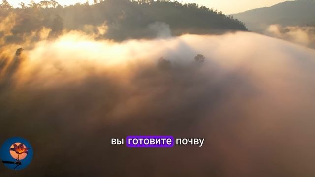 ВЫ - МАГНИТ! Как Визуализация Привлекает Желаемое! Джо Диспенза смотреть онлайн