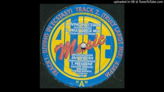 T. President - Living in Ecstacy смотреть онлайн