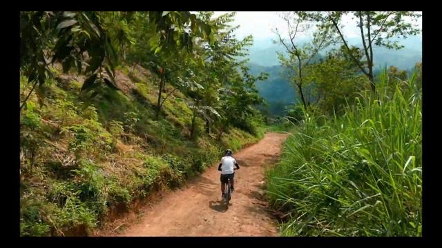 Mavic Mini 3 Pro Active Track Test смотреть онлайн