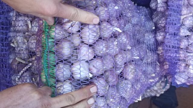 Ціни на Ринку у Львові ОПТ. Овочі та фрукти. смотреть онлайн