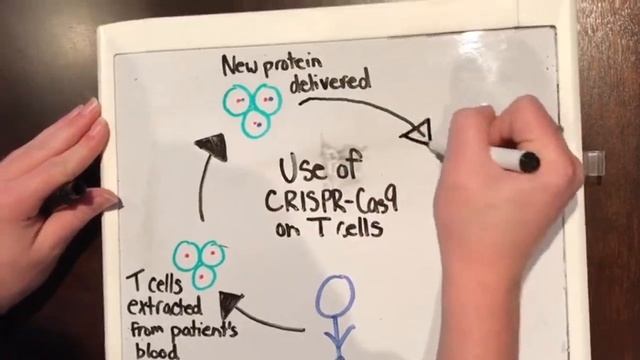 The Ethical Concerns of Using CRISPR-Cas9 Genome Editing Technology to Treat Cancer смотреть онлайн