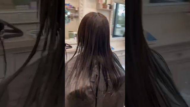Gray coverage and dimensions with no bleach смотреть онлайн