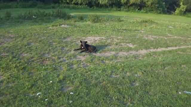 Украина 2013 где то под Юськовцами родник.Мишка.( единственное спокойное место где ни кого не было