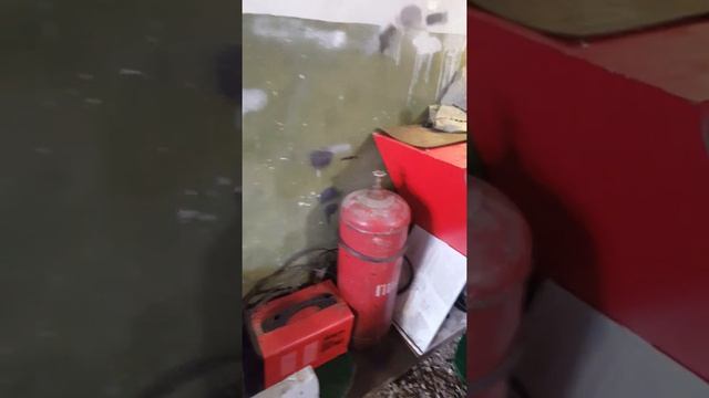 продал вещи арендатор смотреть онлайн