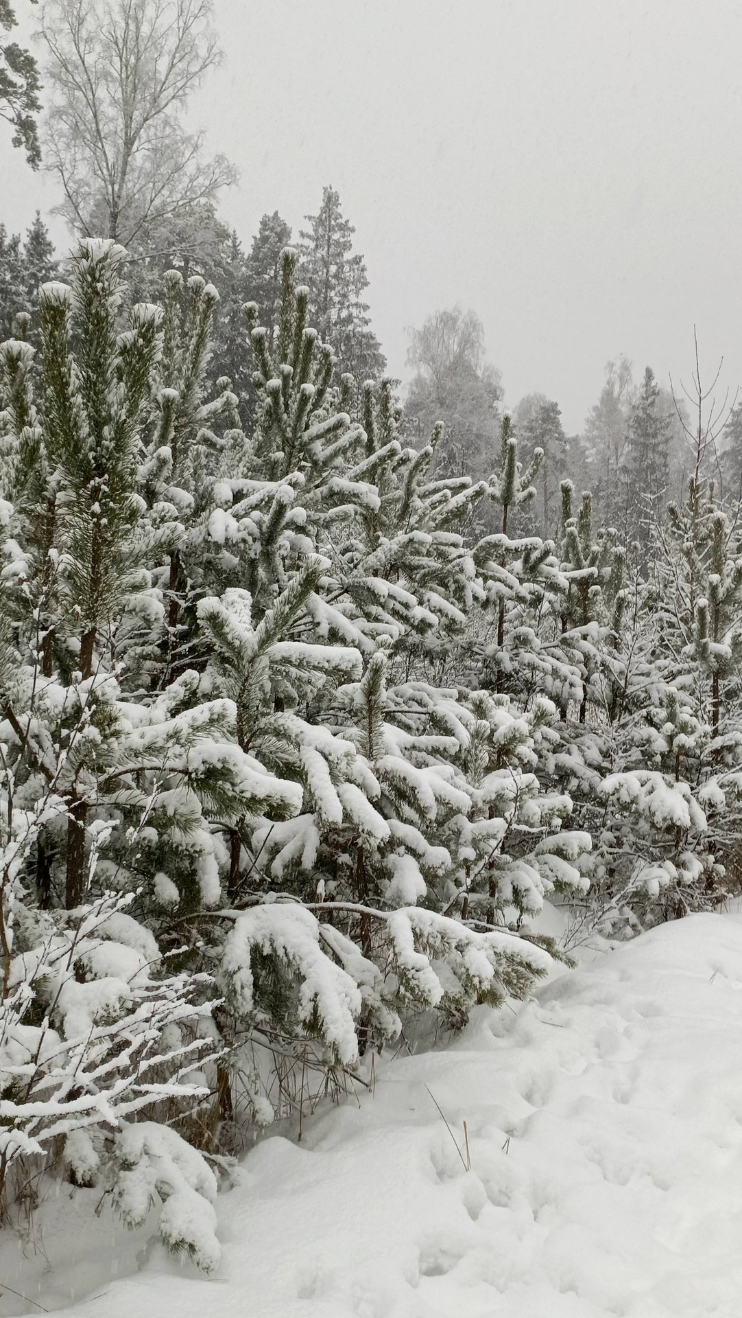 Вот и Новый год за окном ! смотреть онлайн