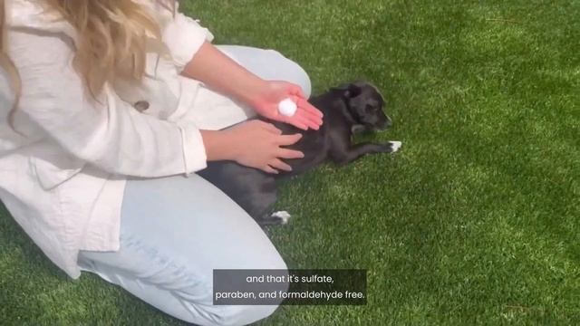 WATERLESS Pet Shampoo for Dogs смотреть онлайн