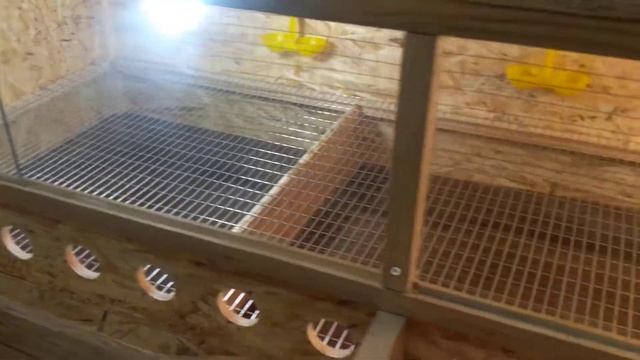 Брудер для цыплят смотреть онлайн