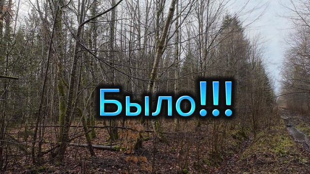 Закрытие сезона охоты на косулю 2024. Конец декабря.